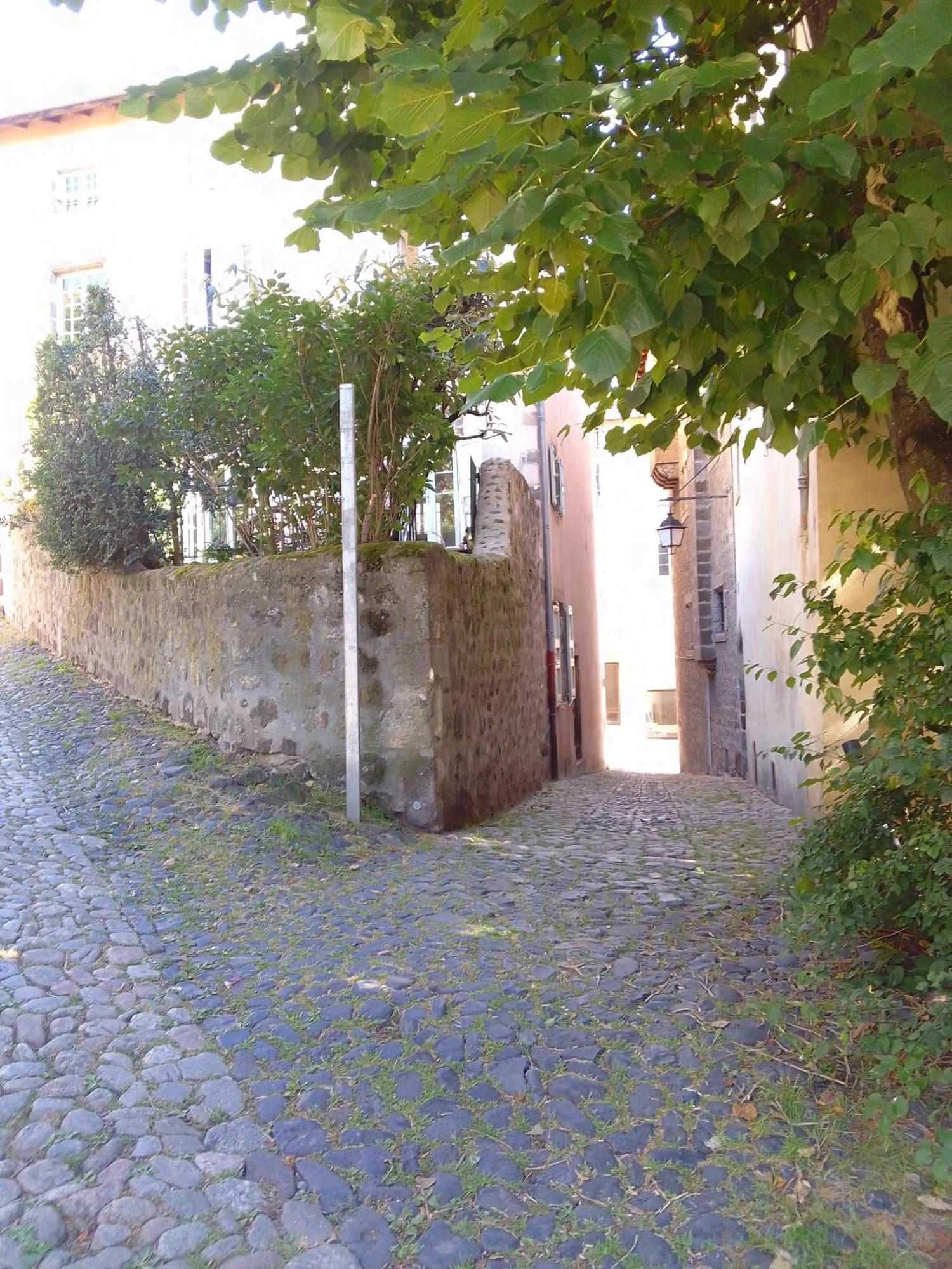 Le Relax Max * Le Puy-en-Velay